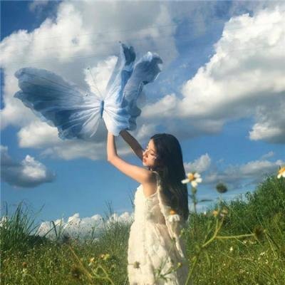 道歉大师
